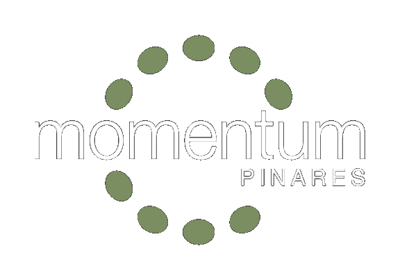 Momentum Pinares