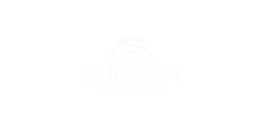 Audinsa